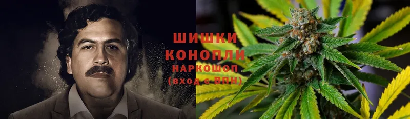 ссылка на мегу зеркало  Беломорск  Шишки марихуана White Widow  сколько стоит 